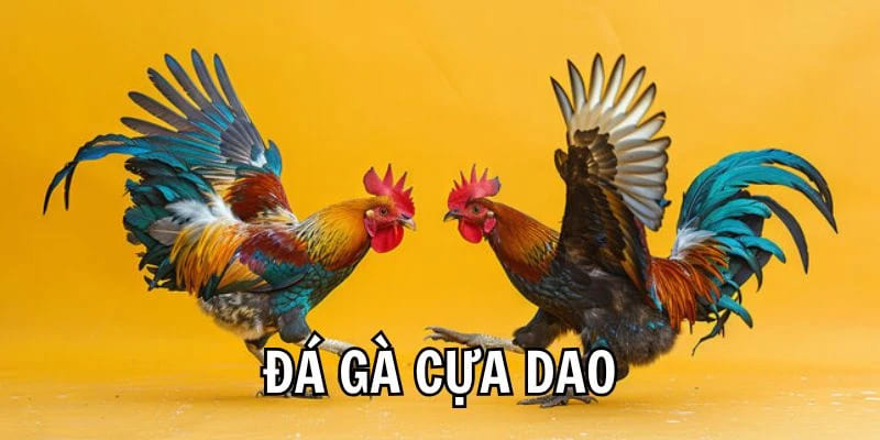 Đá Gà Cựa Dao Cùng Những Kỹ Năng Không Thể Bỏ Qua Tại WW88