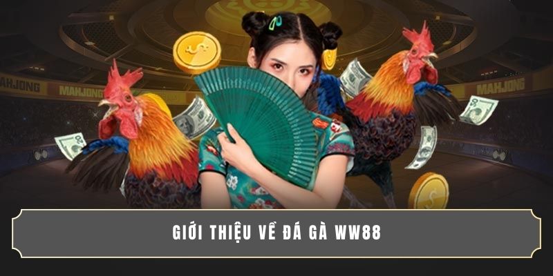 Giới thiệu về đá gà WW88