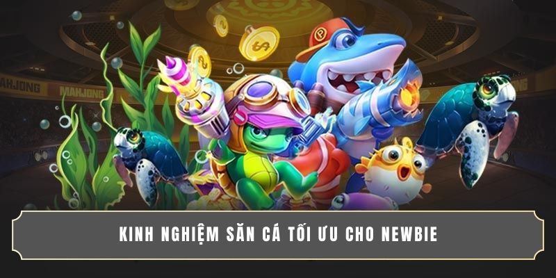 Kinh nghiệm săn cá tối ưu cho newbie